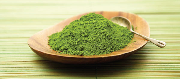 Green Tea Extract