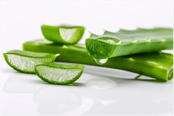 Aloe Leaf Extract